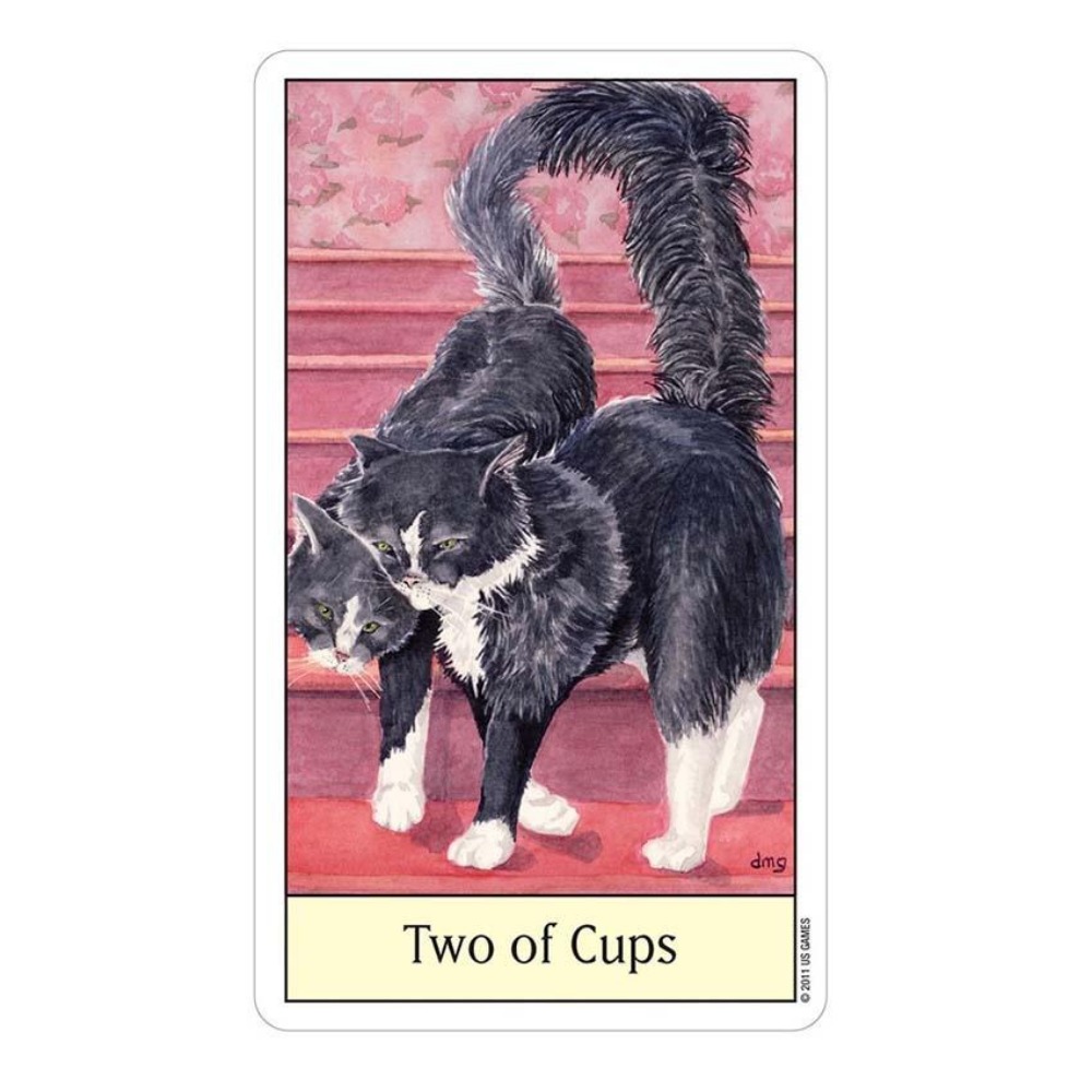 Кошачий глаз Tarot 12x7 см кар – обзор и цена Tarot Deck With Guidebook